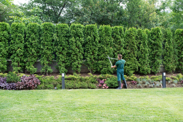 Best Commercial Tree Services  in Camden, NJ